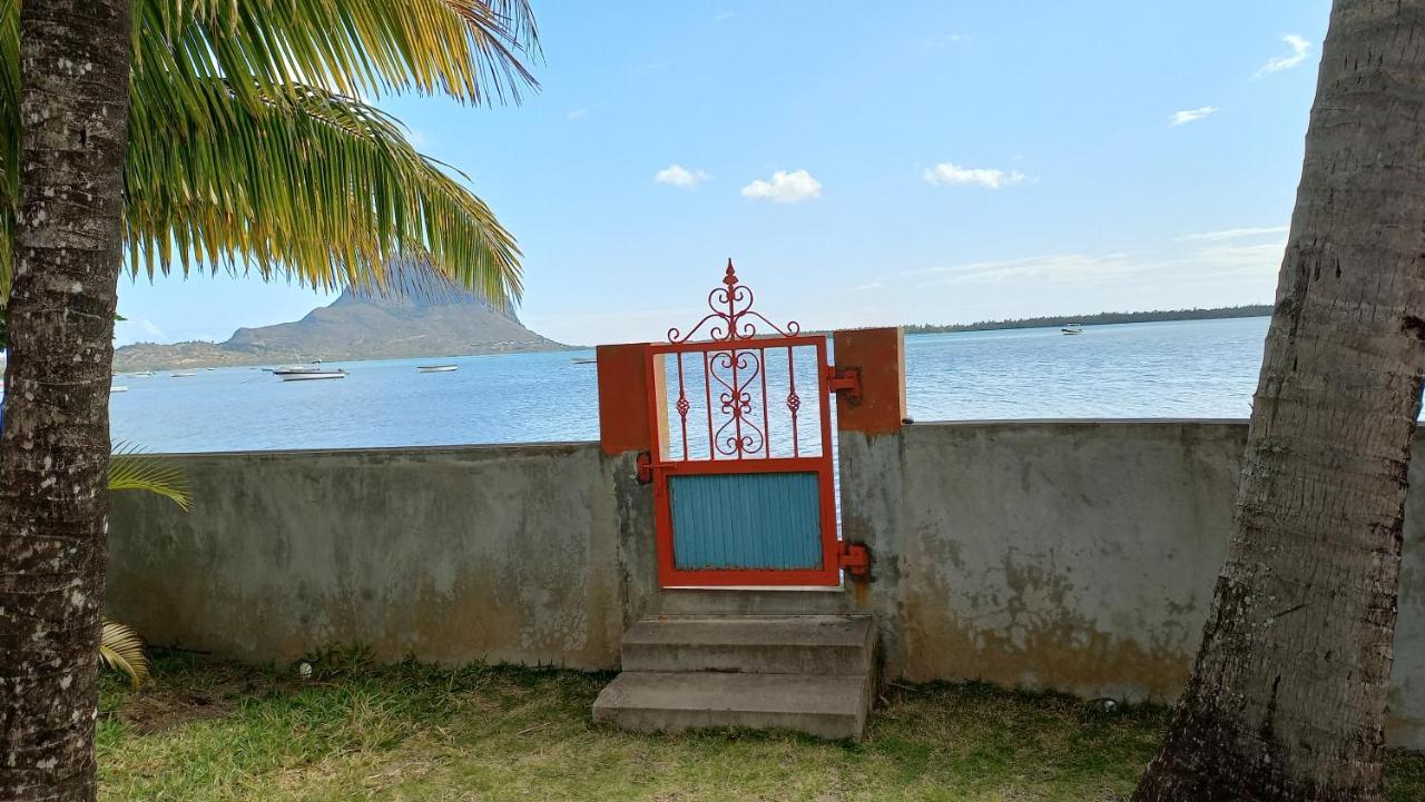 Seaview Studio - La Gaulette Exterior foto